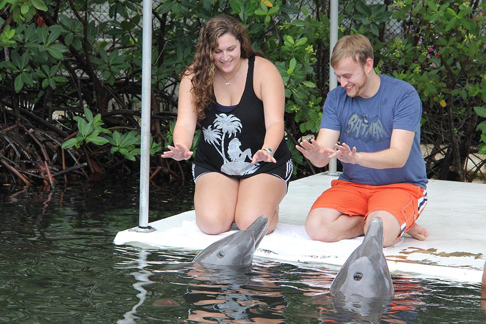 Meet the Dolphin
