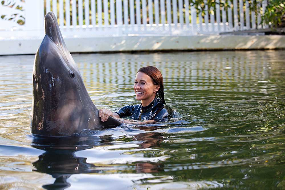 Ultimate Swim with the Dolphin
