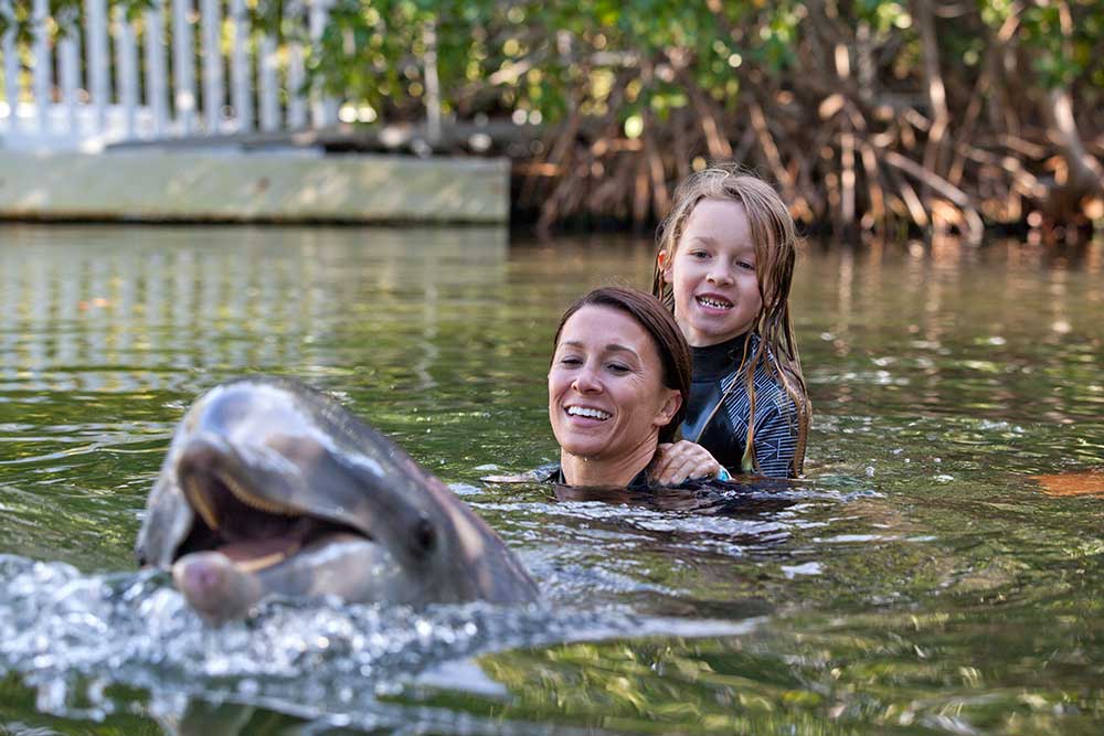 Ultimate Swim with the Dolphin
