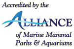 alliance
