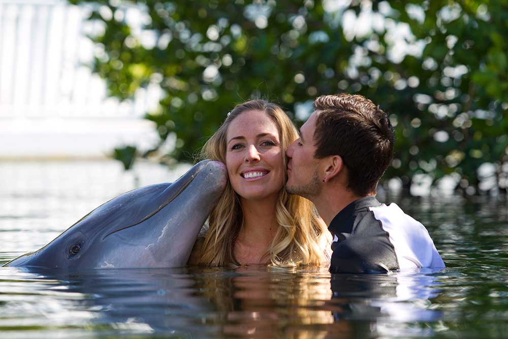 Dolphin Wedding Escape Package