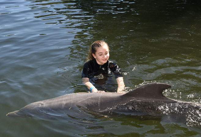 Express Dolphin Swim