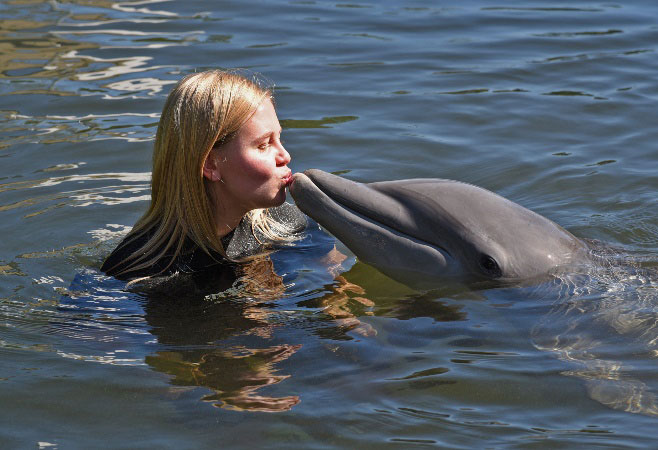 Express Dolphin Swim