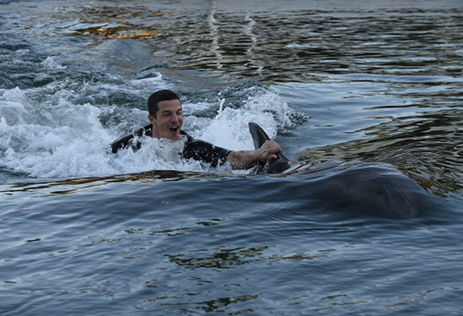 Express Dolphin Swim