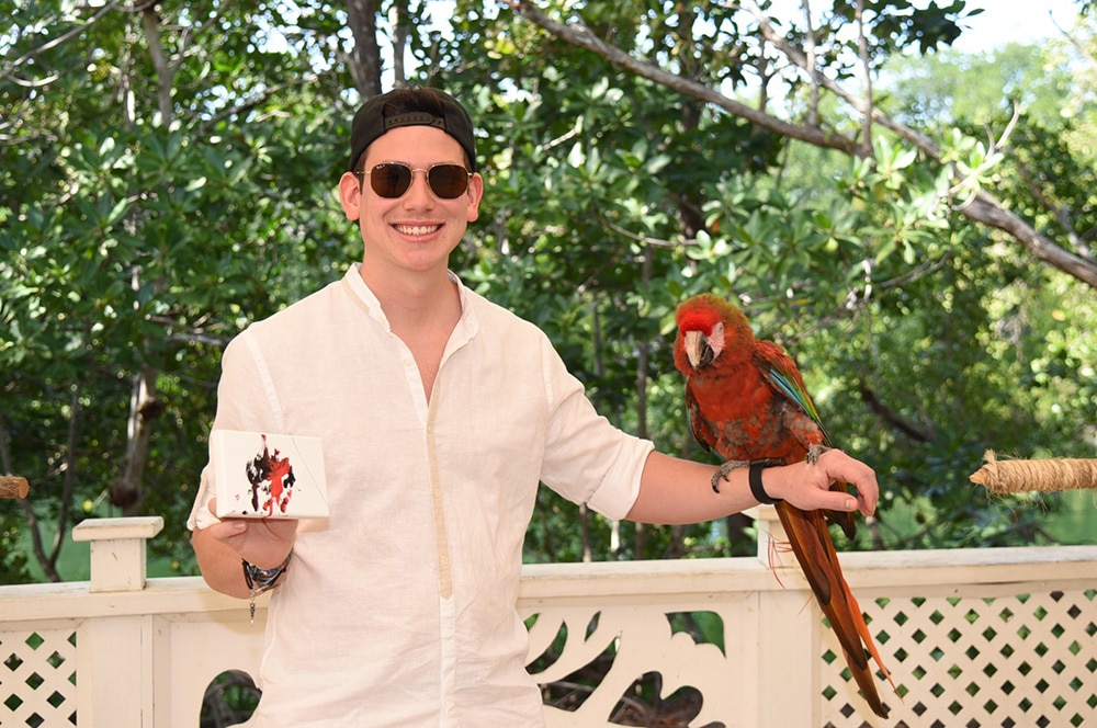 Meet the Parrots