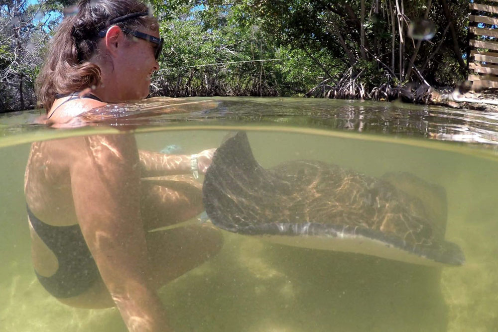 Swim with the Rays