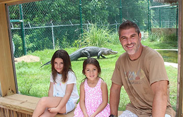 Meet the Alligator
