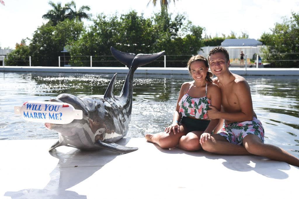 Dolphin holding sign that says: will you marry me