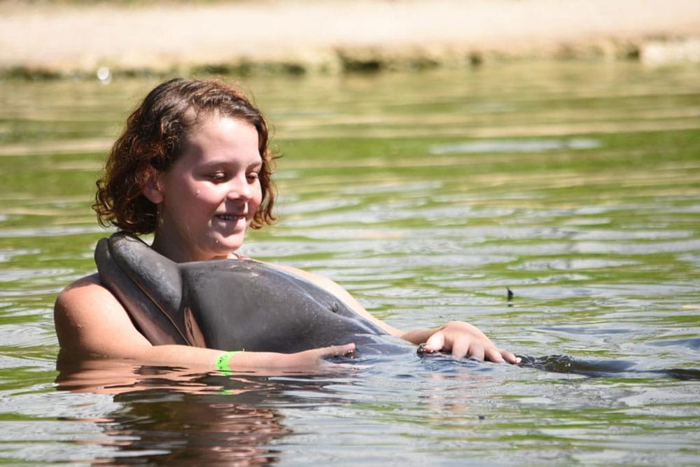 Shallow Water Swim with the Dolphin