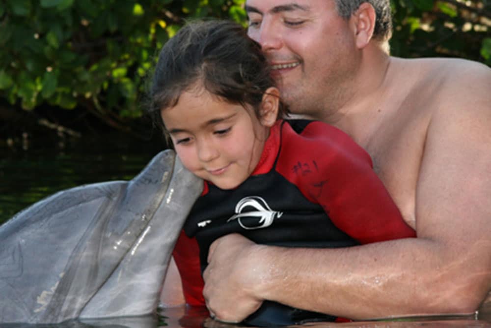 Shallow Water Swim with the Dolphin