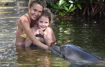Shallow Water Swim with the Dolphin