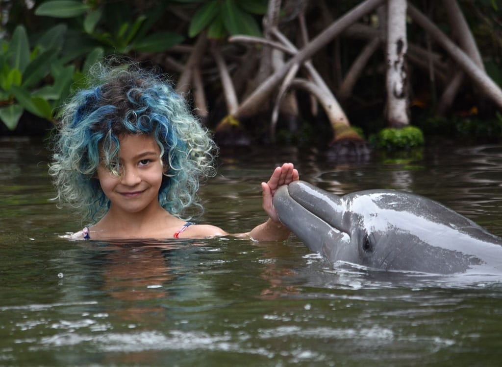 Express Shallow Water Swim with the Dolphin