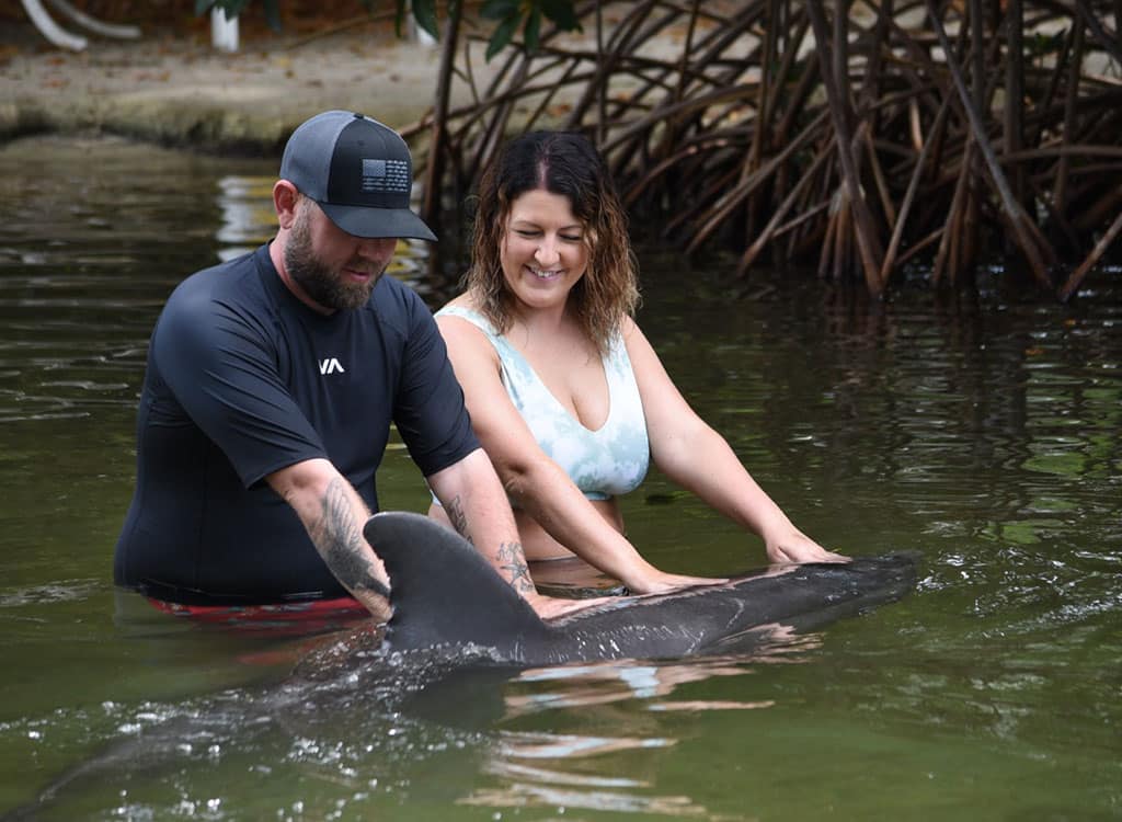 Express Shallow Water Swim with the Dolphin