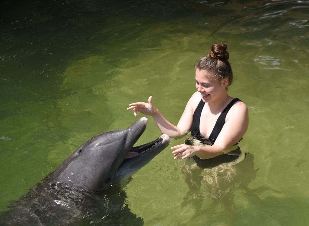 Express Shallow Water Swim with the Dolphin